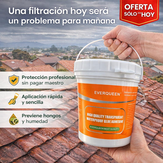 Sellador Impermeabilizante 1kg + Brocha de regalo