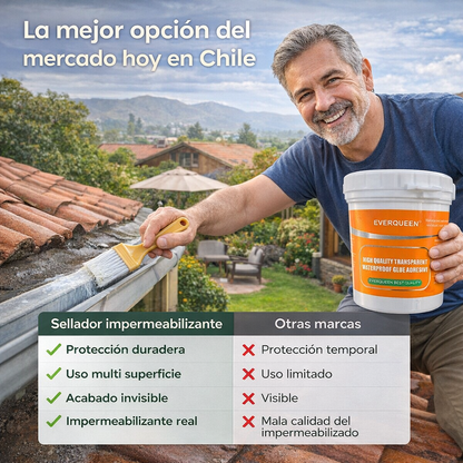 Sellador Impermeabilizante 1kg + Brocha de regalo